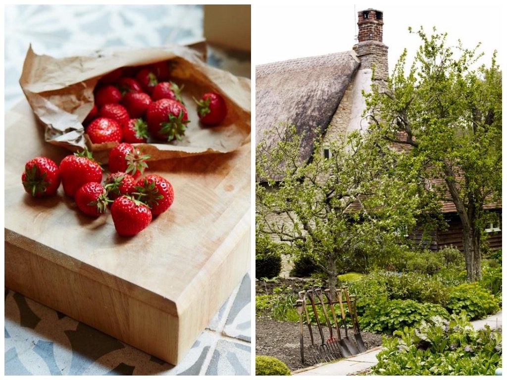 Strawberry on chopping board