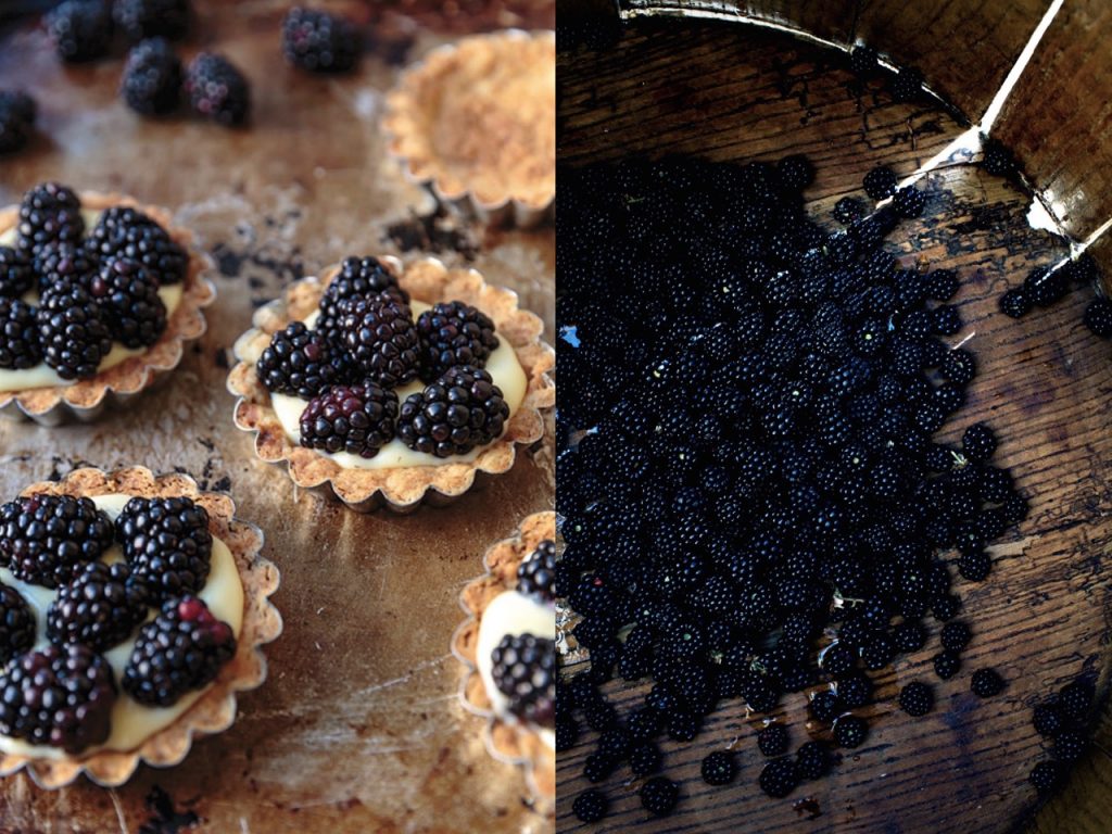 Fresh berries on baked cup cakes