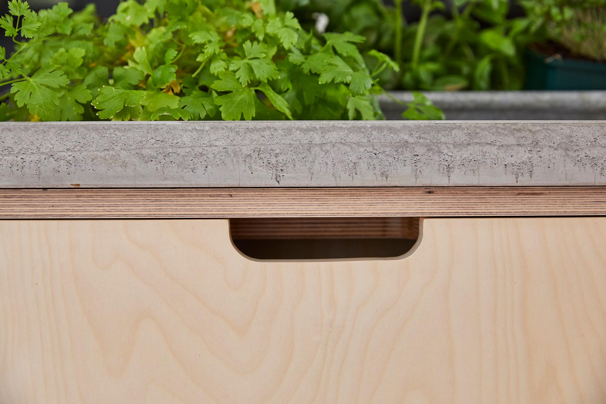 Integrated bin unit with birch plywood door and solid concrete worktop