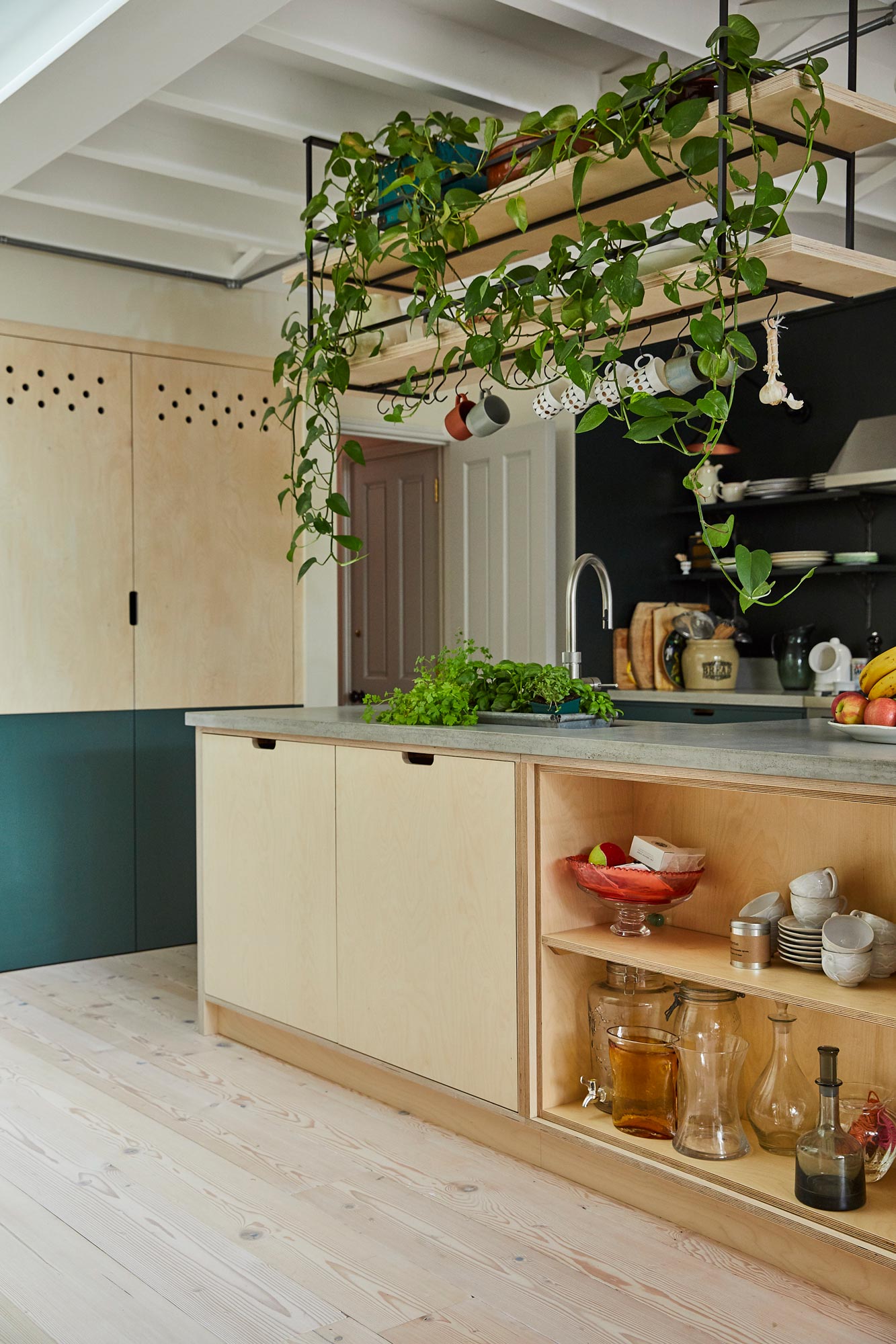Bespoke plywood kitchen island with hanging open shelves above with plants hanging down
