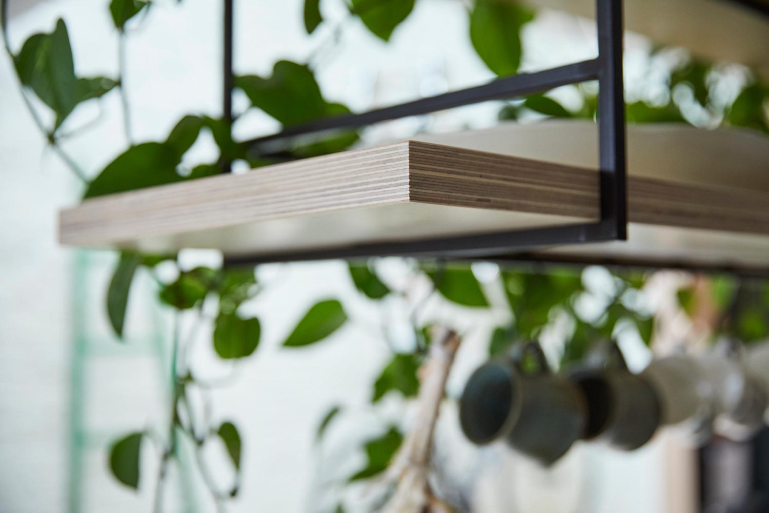 Plants sat on birch plywood shelf floating with black metal frame