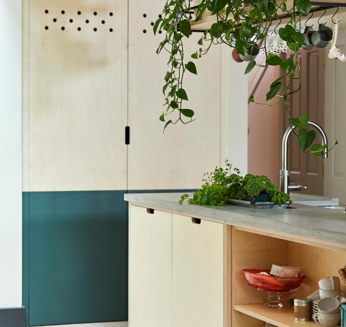 Birch plywood pantry unit with half the door painted green