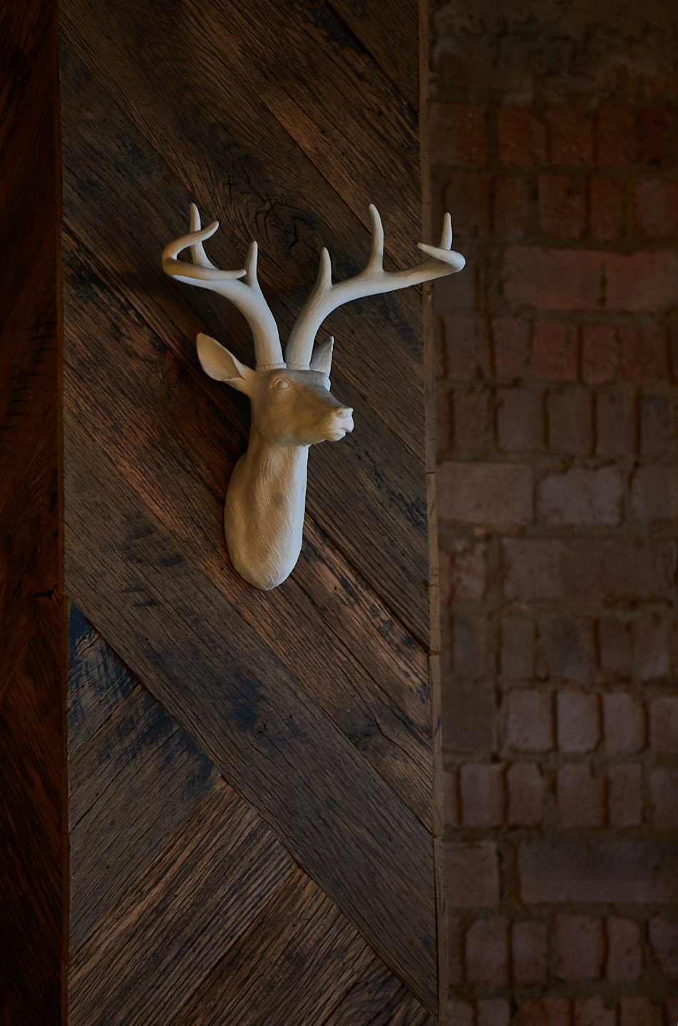 Reclaimed wood clad wall with ceramic deer hung