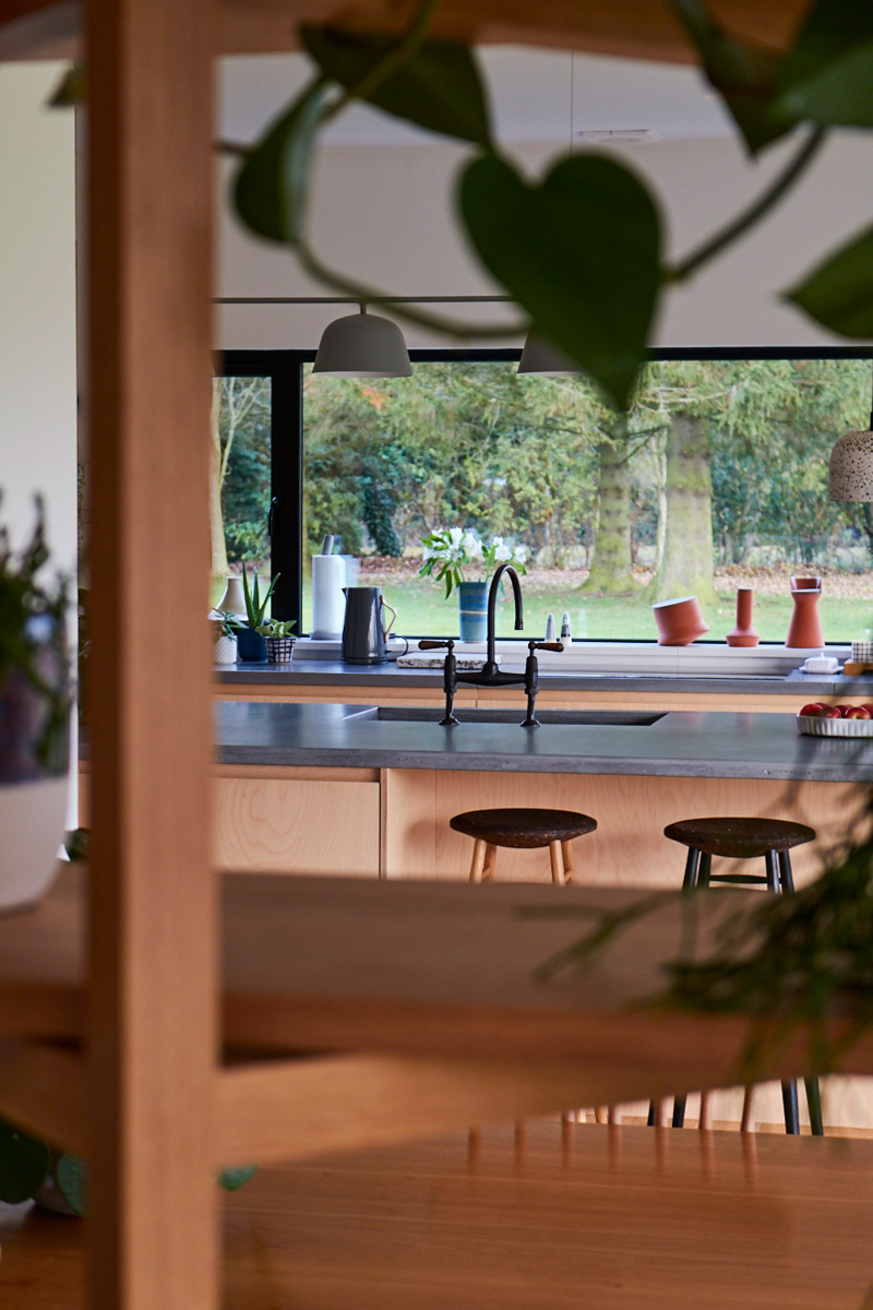 Plants hang in front of kitchen