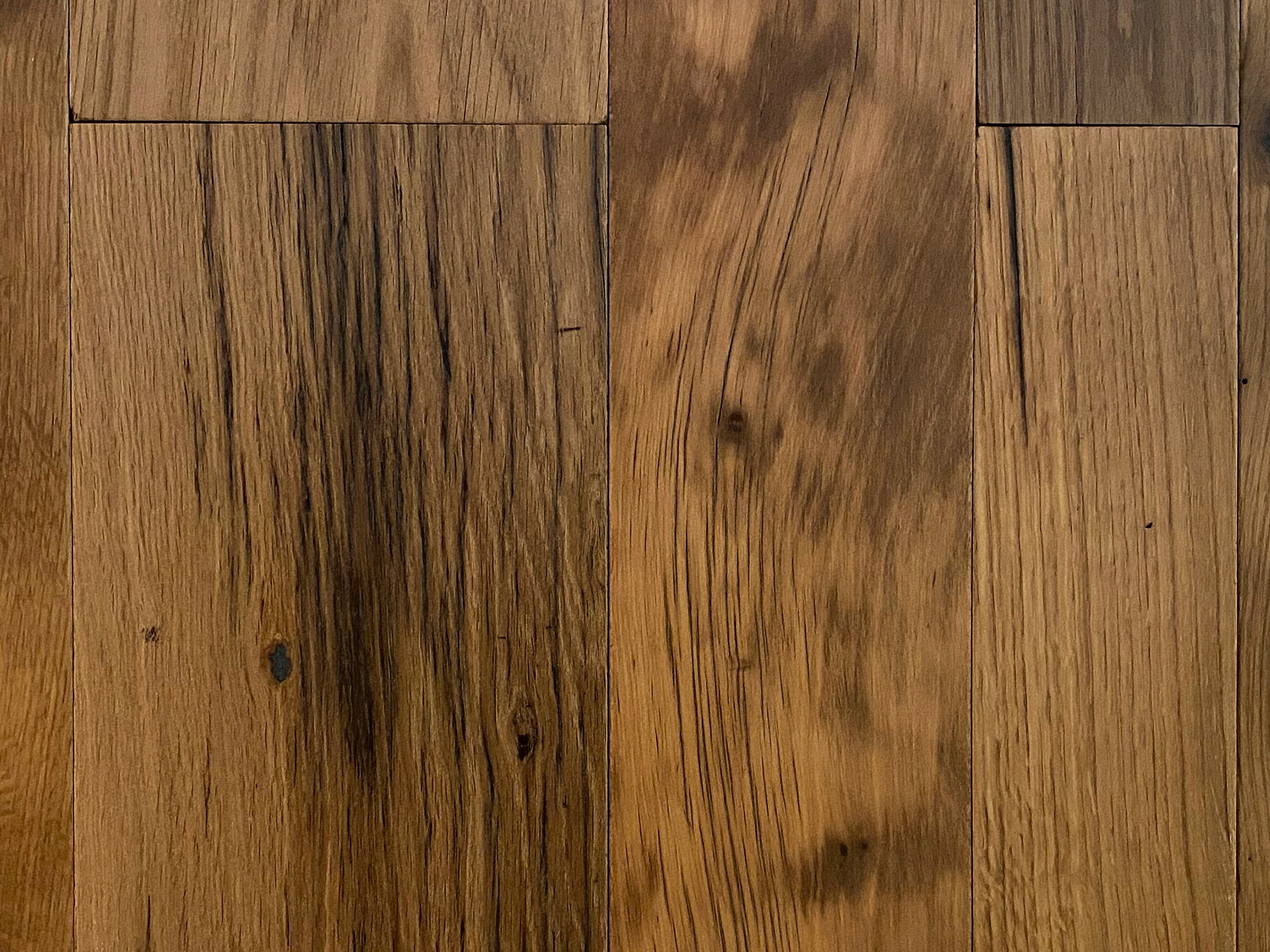 Knots of oak floor board