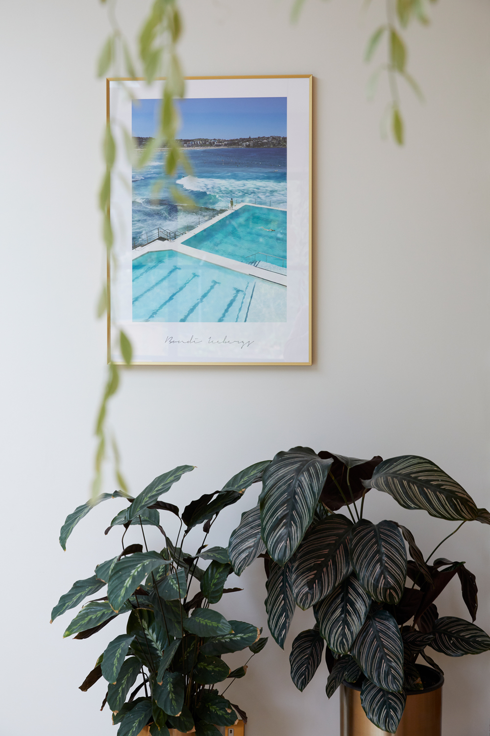 Swimming pool picture hangs on wall with floor standing planters