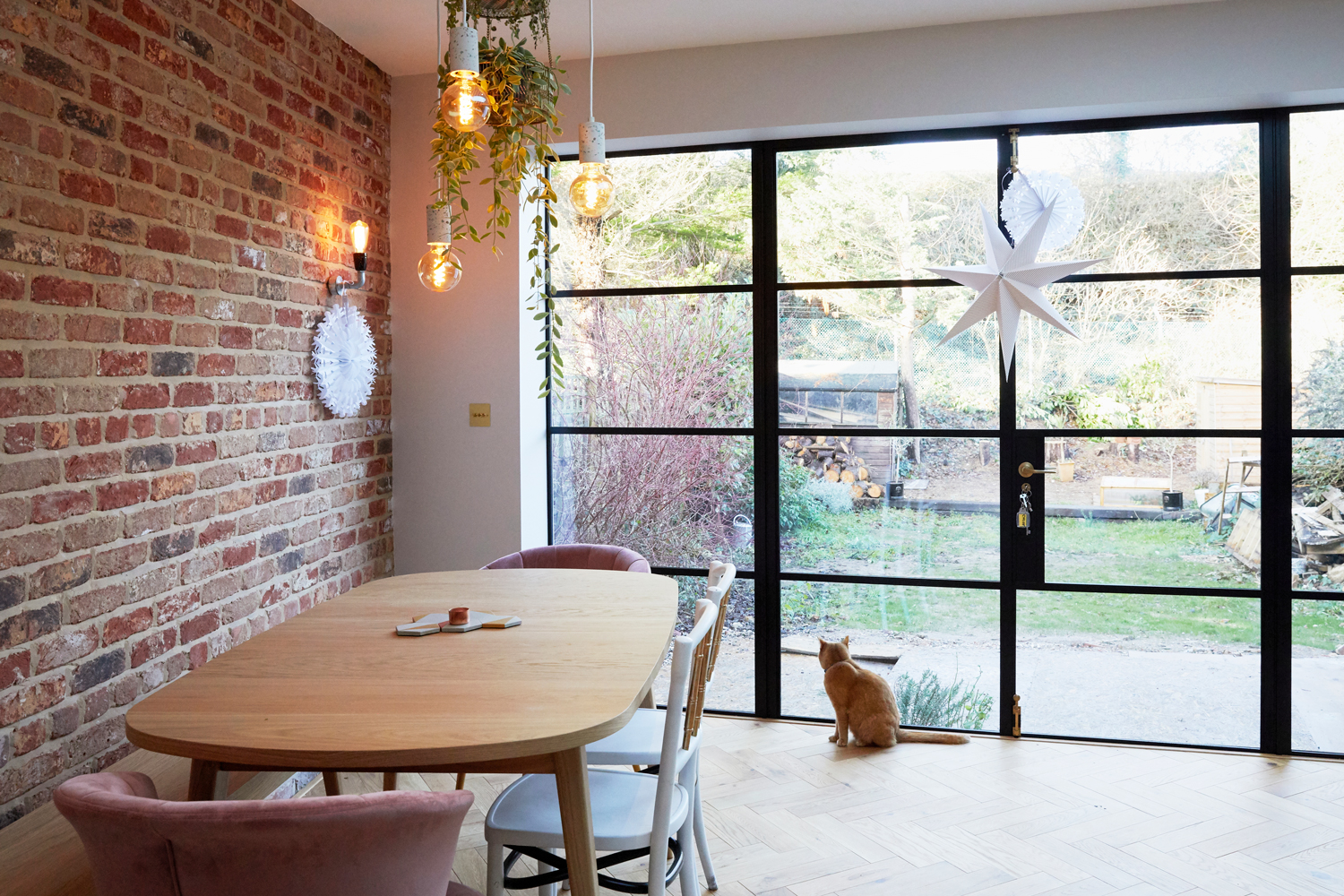Cat looks out of Crittall style doors in front of modern oak dining table and upholstered chairs