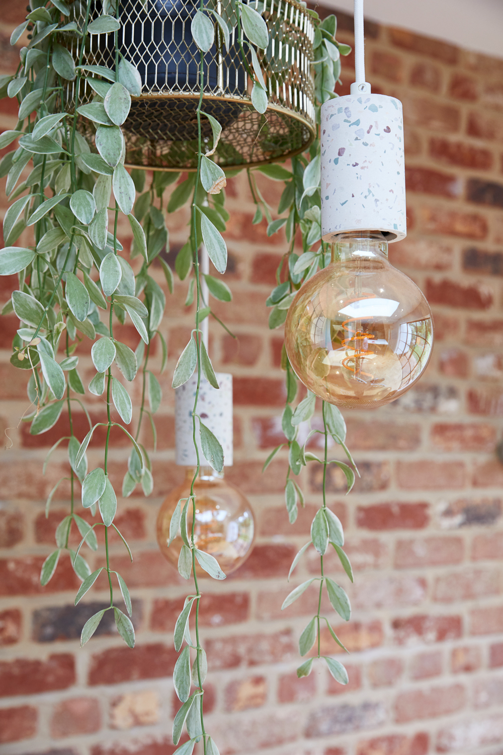 Hanging planter and bulbs with exposed brick backdrop