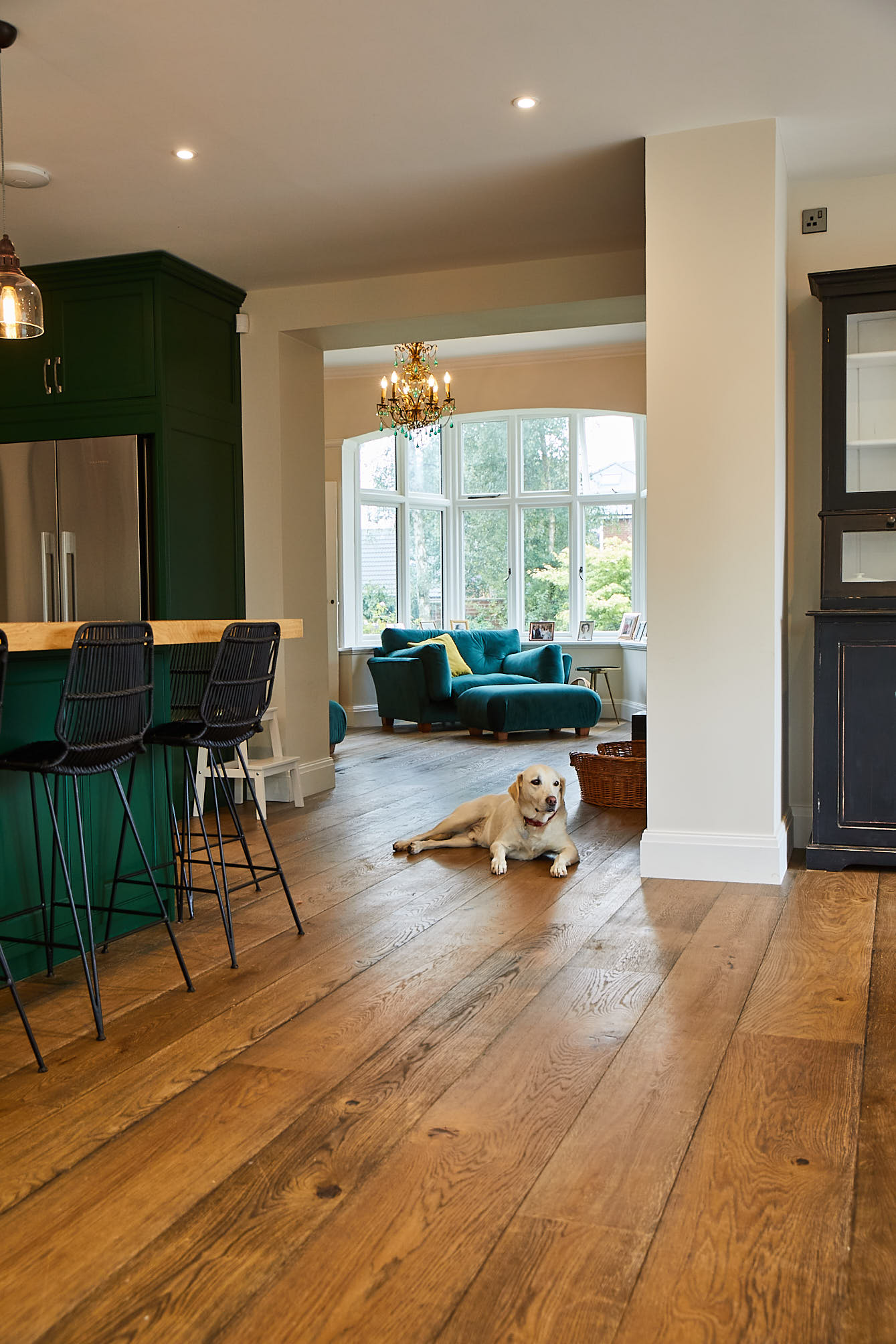 Dog sits in kitchen with oak flooring