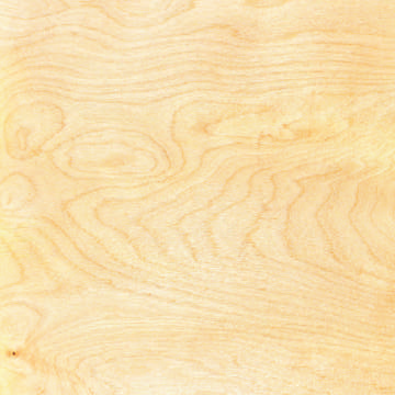 Birch plywood timber grain