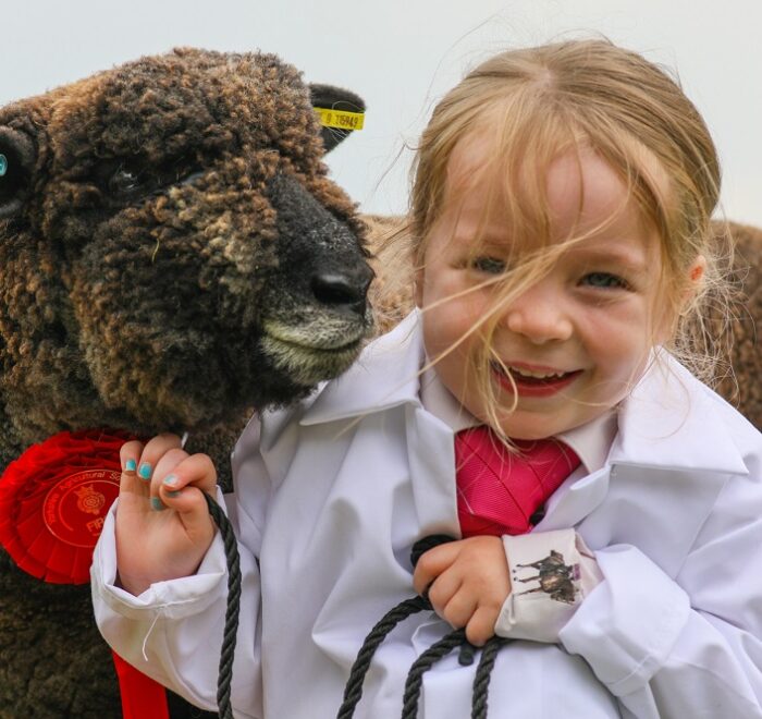 Girl holding sheep